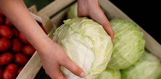 Извозот на зелка 4 милиони евра во првите два месеци, двојно повеќе од лани