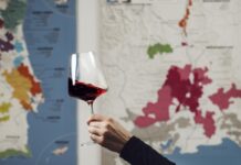 Извоз на вино од 40 милиони евра за осум месеци, најмногу во регионот izvoz na vino