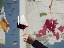 Извоз на вино од 40 милиони евра за осум месеци, најмногу во регионот izvoz na vino