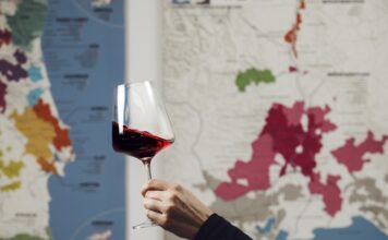 Извоз на вино од 40 милиони евра за осум месеци, најмногу во регионот izvoz na vino