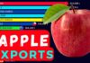 (Видеографик) Топ најголеми извозници на јаболка во светот