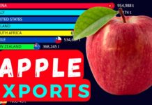 (Видеографик) Топ најголеми извозници на јаболка во светот