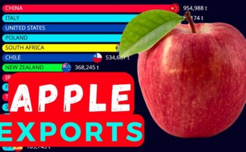 (Видеографик) Топ најголеми извозници на јаболка во светот