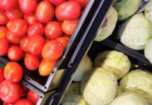 Извоз на зеленчук од 62 милиони евра во првата половина годинава, 18% повеќе од лани