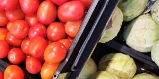 Извоз на зеленчук од 62 милиони евра во првата половина годинава, 18% повеќе од лани