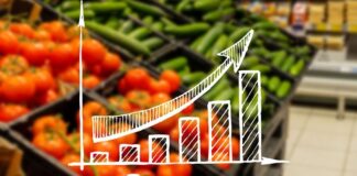 Светските цени на храната во август на највисоко ниво во последните две години