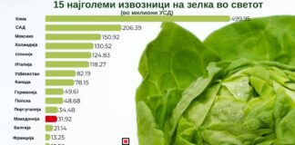 Македонија е 12-ти најголем извозник на зелка во светот и најголем во регионот