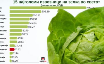 Македонија е 12-ти најголем извозник на зелка во светот и најголем во регионот