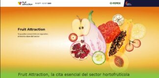 Десет македонски компании на престижниот меѓународен саем Fruit Attraction 2025 во Мадрид