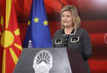 Божиновска: Нема да останеме без гас, ќе се бара алтернативно решение на ниво на ЕУ Sanja Bozinovska