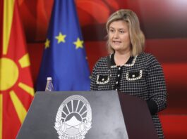 Божиновска: Нема да останеме без гас, ќе се бара алтернативно решение на ниво на ЕУ Sanja Bozinovska