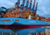 Гигантот за превоз Maersk ги зголеми проценките: Глобалната трговија се покажува поотпорна од очекуваното Maersk