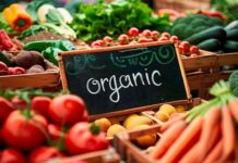 Продажбата на органска храна во Италија достигна 10,4 милијарди евра, раст од 6% на годишно ниво Органска храна