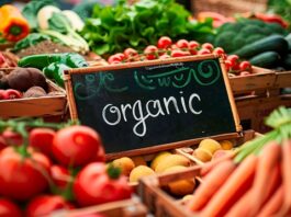 Органска храна