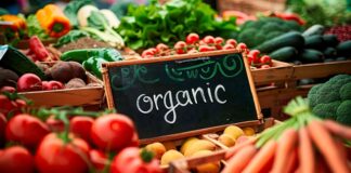 Продажбата на органска храна во Италија достигна 10,4 милијарди евра, раст од 6% на годишно ниво Органска храна