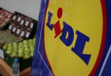 Лани извезени 15,5 милиони евра вредни македонски производи преку мрежата на „Лидл“, три пати повеќе од 2024 година