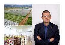 Иван Шуклев: Интерес за македонското овошје и зеленчук постои, но потребен е поинаков пристап за да го произведеме она што европските пазари го бараат