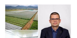 Иван Шуклев: Интерес за македонското овошје и зеленчук постои, но потребен е поинаков пристап за да го произведеме она што европските пазари го бараат