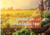 Органското производство како извозна шанса: Со паметна поддршка, европски стандарди и сигурен пласман органското производство може да стане успешна македонска извозна приказна