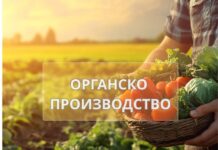 Органското производство како извозна шанса: Со паметна поддршка, европски стандарди и сигурен пласман органското производство може да стане успешна македонска извозна приказна