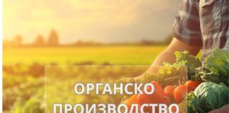 Органското производство како извозна шанса: Со паметна поддршка, европски стандарди и сигурен пласман органското производство може да стане успешна македонска извозна приказна
