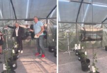 Во Струга свечено отворен SMART Nursery – првиот паметен расадник и аналитичко-истражувачки центар од ваков вид во Македонија